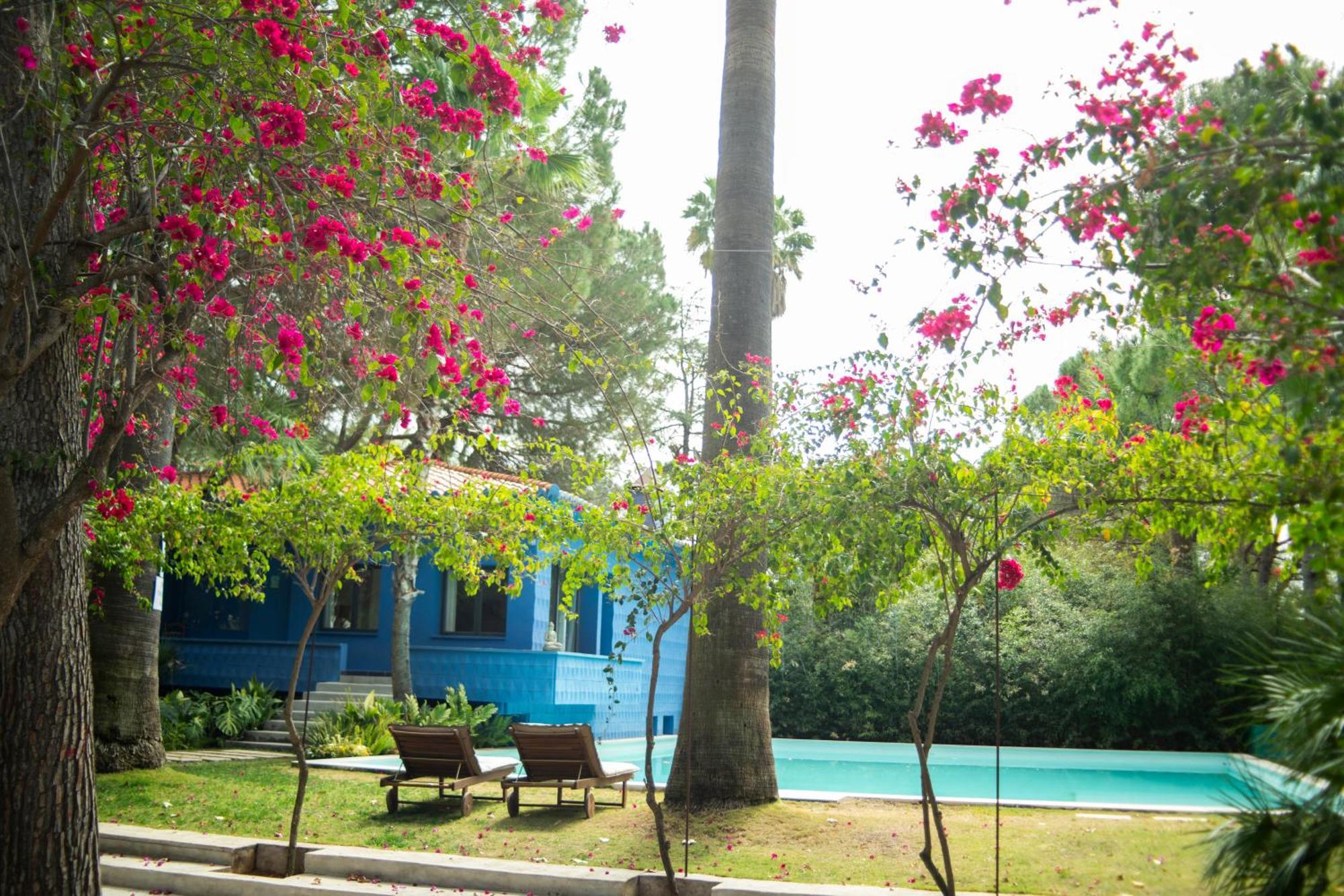 Hotel El botanico de Sagra Exterior foto