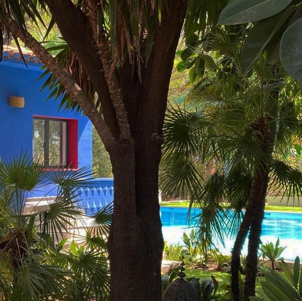 Hotel El botanico de Sagra Exterior foto